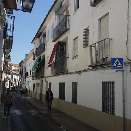 Lineros 24