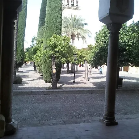 Lineros 24 * Córdoba